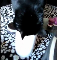 On est jamais mieux servis que par sois même!