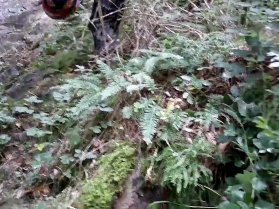 IMAG0002