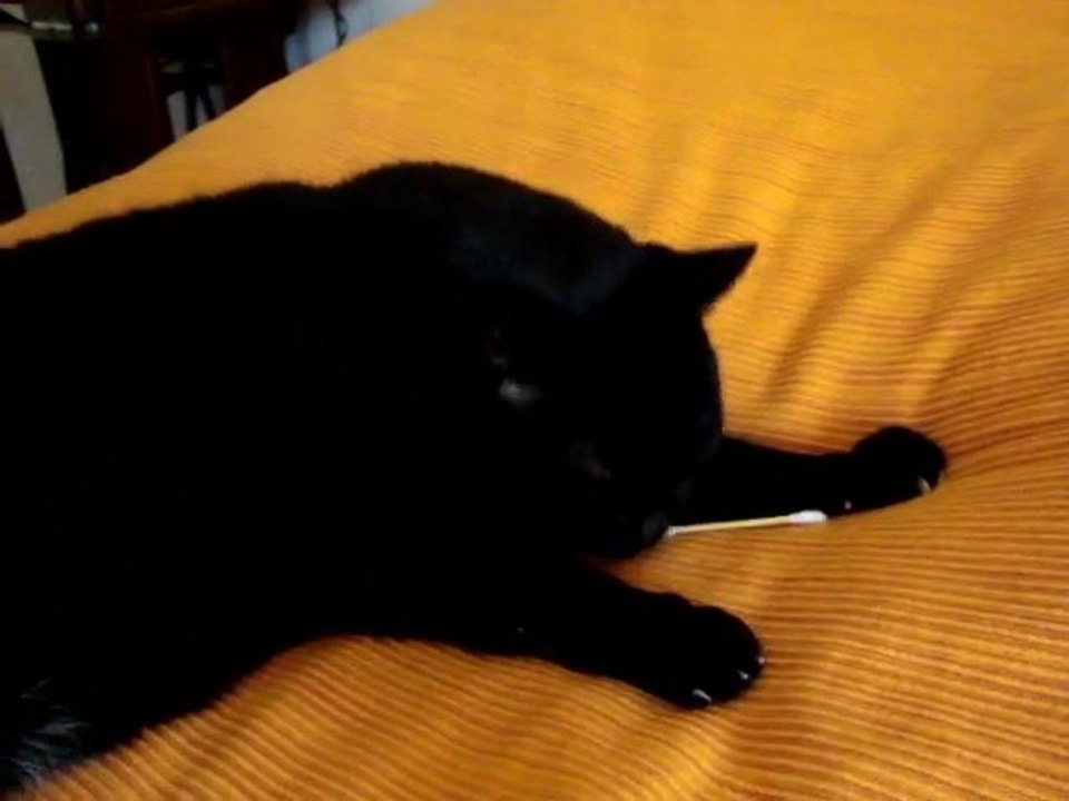 Le triste sort des cotons tiges!