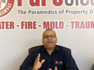 Tampa Water Damage Expert - PuroClean Pasco County