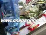 【dried fruit packing machine】CT-420【2012 top sales packaging machinery】