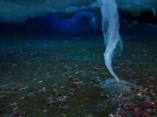 Brinicle : le doigt glacé de la mort [BBC Nature]