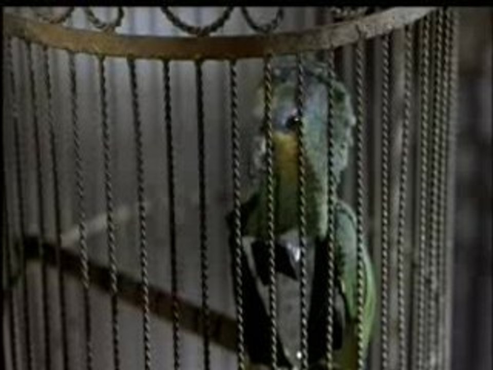 scary movie 2 burdy ve se battre