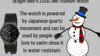 Best Christmas Gifts | Skagen Men's 233XLTMB Titanium Watch | Best of Christmas Gifts 2012