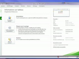 Office web apps - accès à une application office 2010