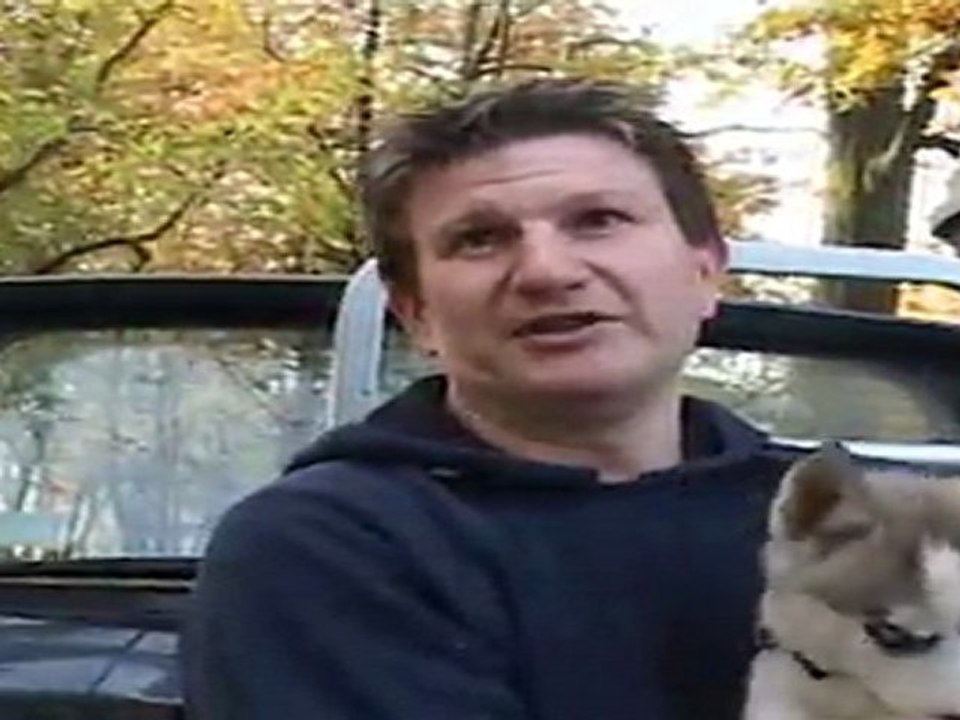 Courses de chiens d'attelage