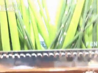 The Fendi Princess Yacht at the Monaco Yacht Show 2011 | FTV