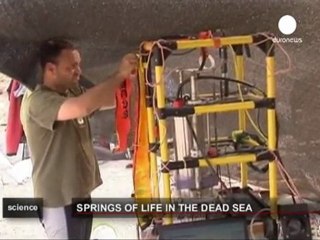 Life in the Dead Sea