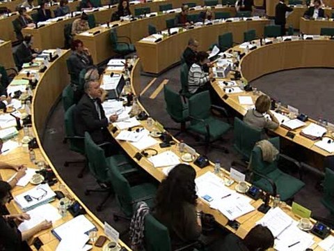 ALFONSI Commission REGI 23 11 2011 1