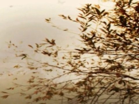 gidiyorum-Gidiyorum buralardan sen uyanmadan ....