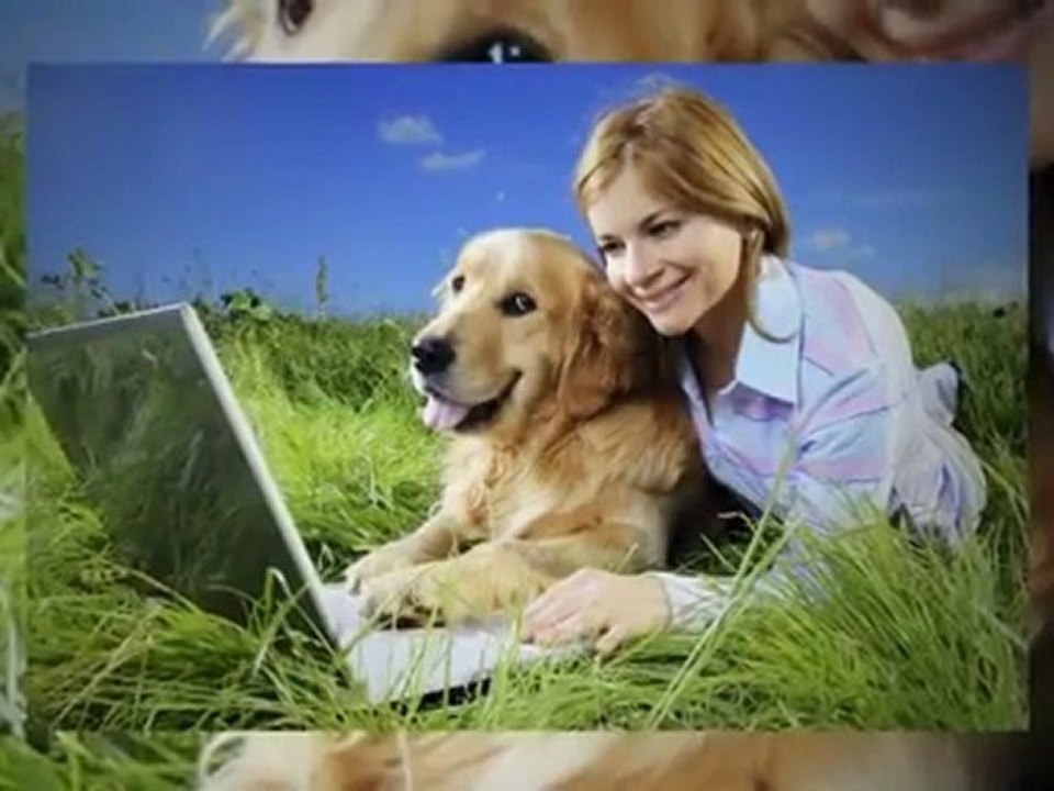 Arthritis Joint Supplements