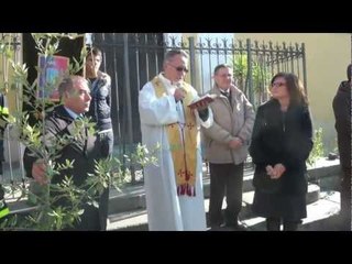 Cesa (CE) - Festa dell'Albero 1