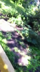 больница 7 003