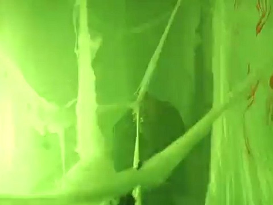 Halloween au PIJ de Port Barcarès