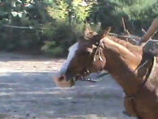 elle et encore elle!