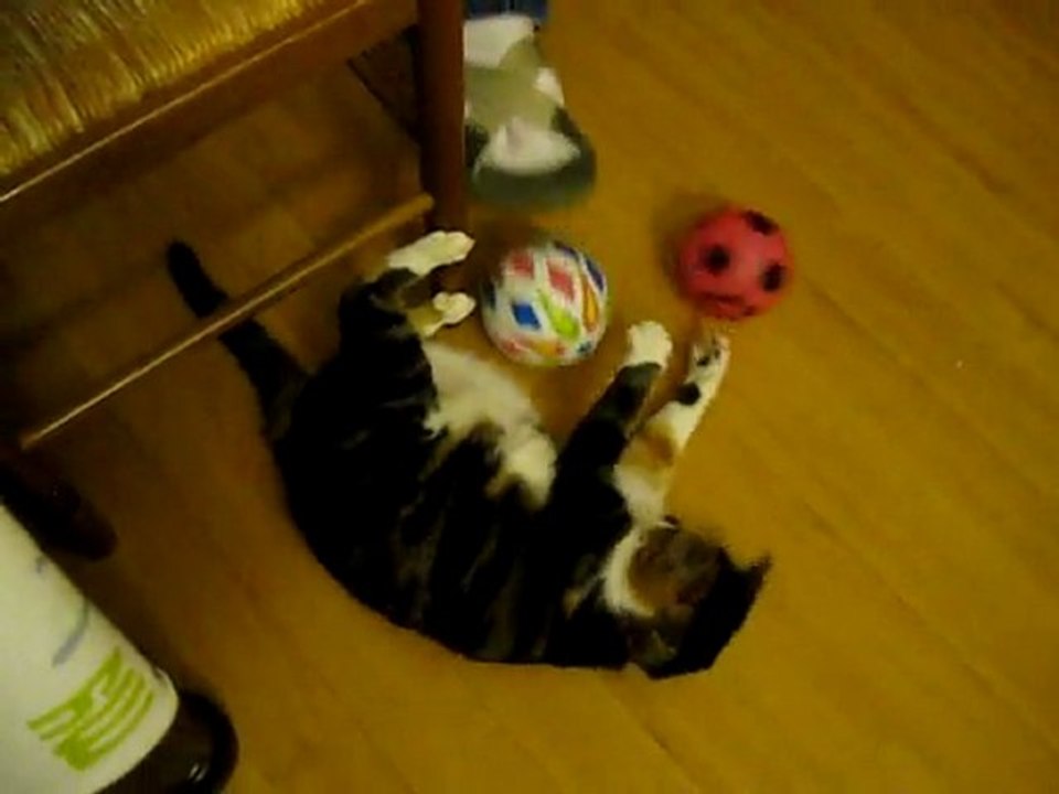 Tibou joue au ballon