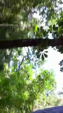 юрий степанович попов 005