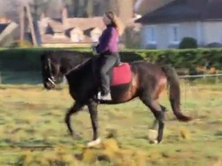 scapa 20 nv 2011 part 3