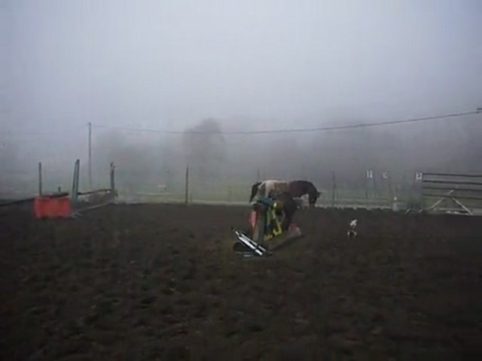 Utam Saut du Vertical