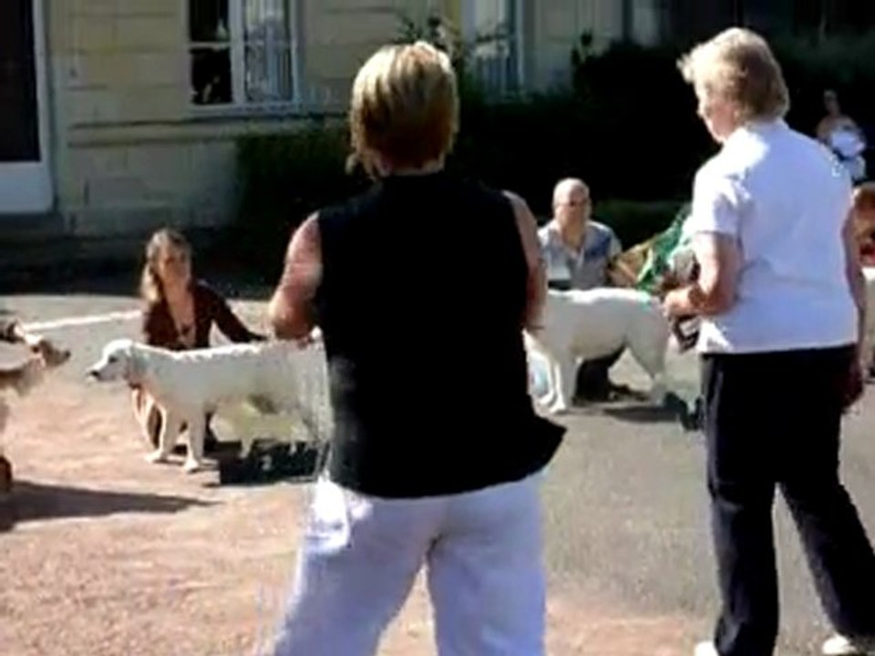 Centenaire Roiffé  9-9-11  Podium Puppy Femelle