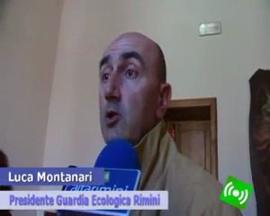 Altarimini.Contributi per lo smaltimento dell'amianto