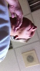 коля ростов 003