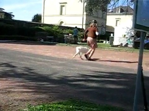 Centenaire Roiffé 9-9-11 Guidelle