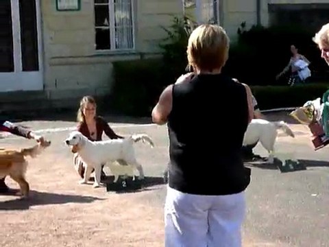 Centenaire Roiffé 9-9-11 (12) Podium