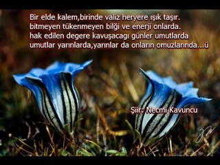 ÖGRETMENLER GÜNÜ 2011