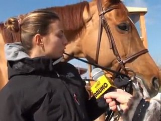 Salto ostacoli a San Giovanni in Marignano, montepremi 40mila euro