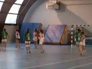 -14F Aulnay-Loulay nov2011 clip