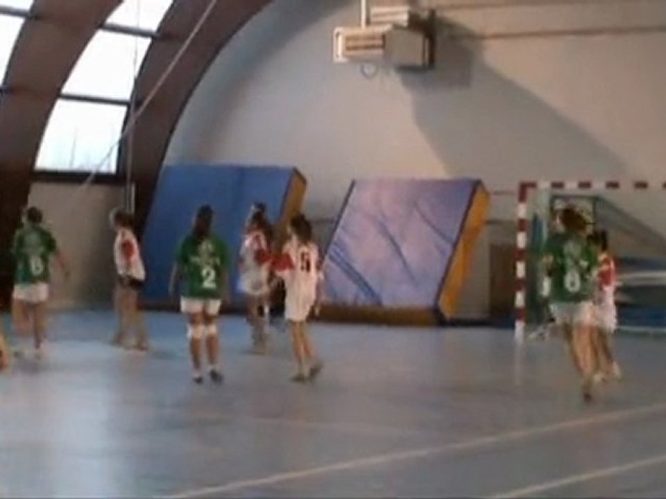 -14F Aulnay-Loulay nov2011 clip