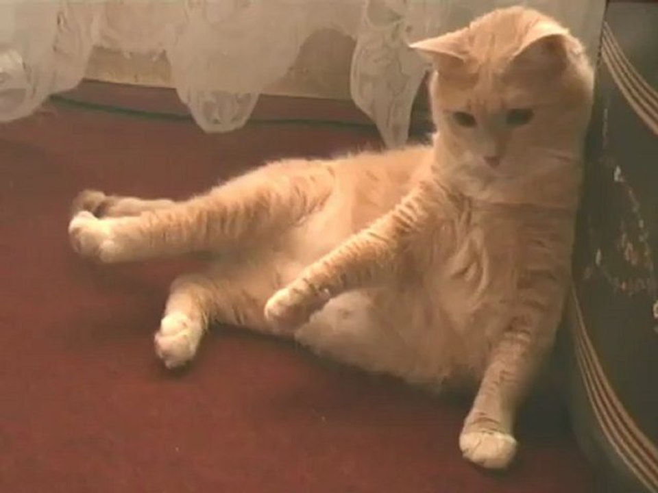 VTS_01_4_xvid_1