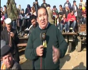 germencik deve güreşi yılmaz ölmez