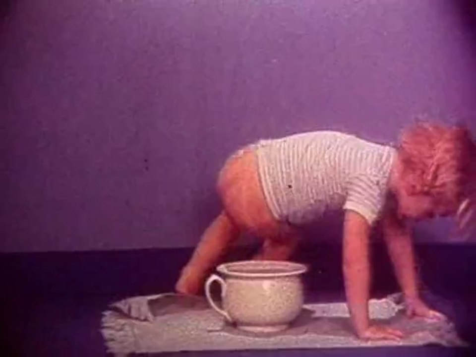 Pub Lotus Le Pot 1973