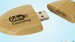 Custom Promotional USB Flash Drives Printed w/Logo