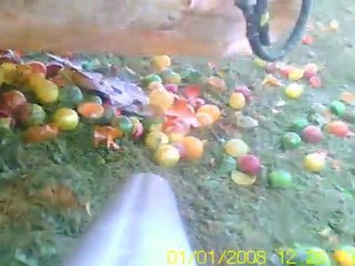 Inquisition Vs Harpie Tournoi Open 02 Black legion