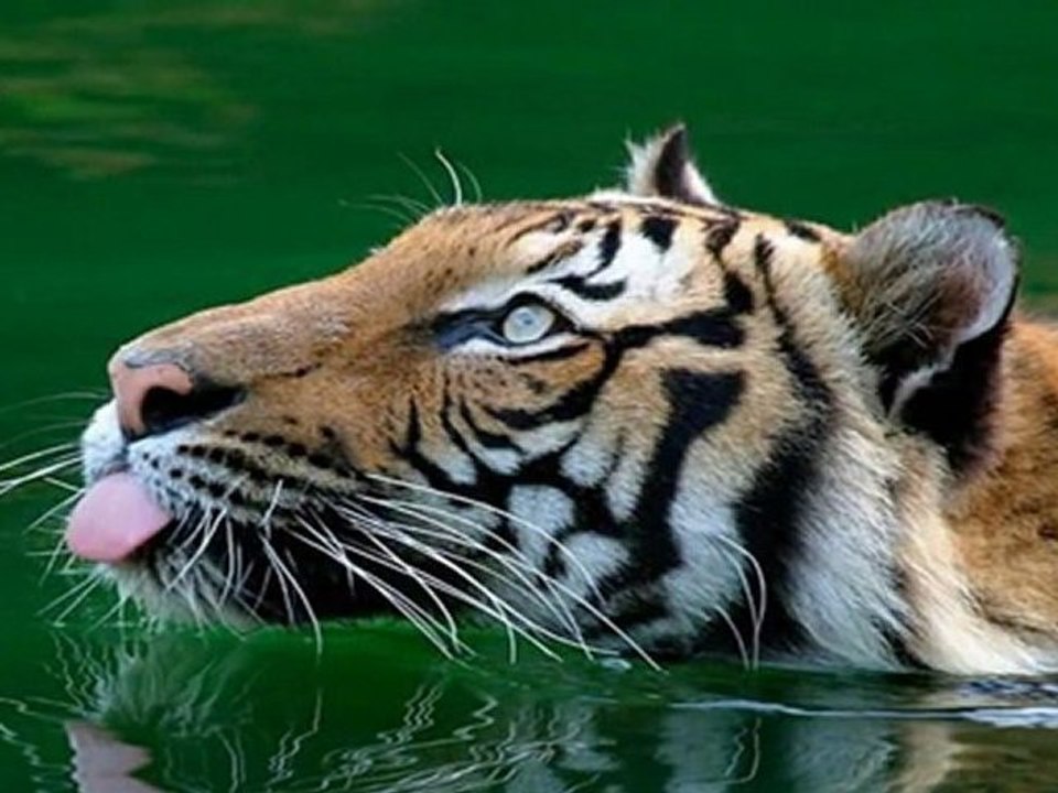 Belleza natural