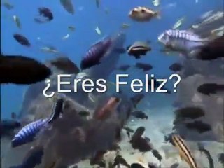 Motivadora - Reflexion - Eres Feliz?