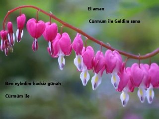 Harika Bir İlahi Cürmüm ile Geldim Sana