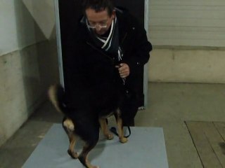 2éme Essai, education, et break Agility