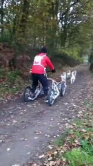 Iaranga : Jean-Luc & ses chiens près d'Anvers n°3