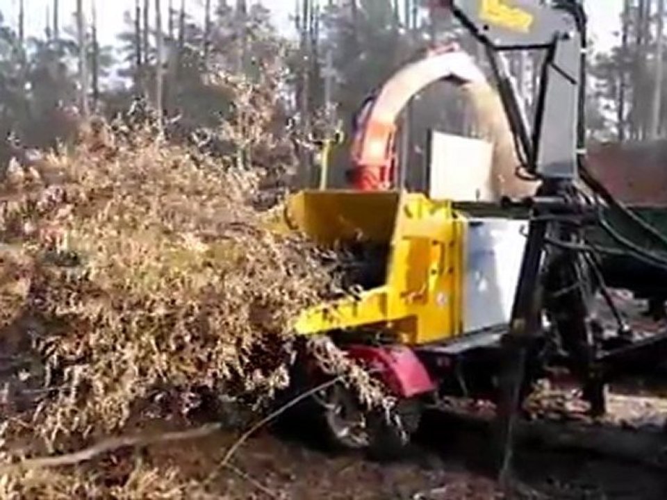 Déchiqueteuse Broyeur de branches Skorpion 550RB Teknamotor