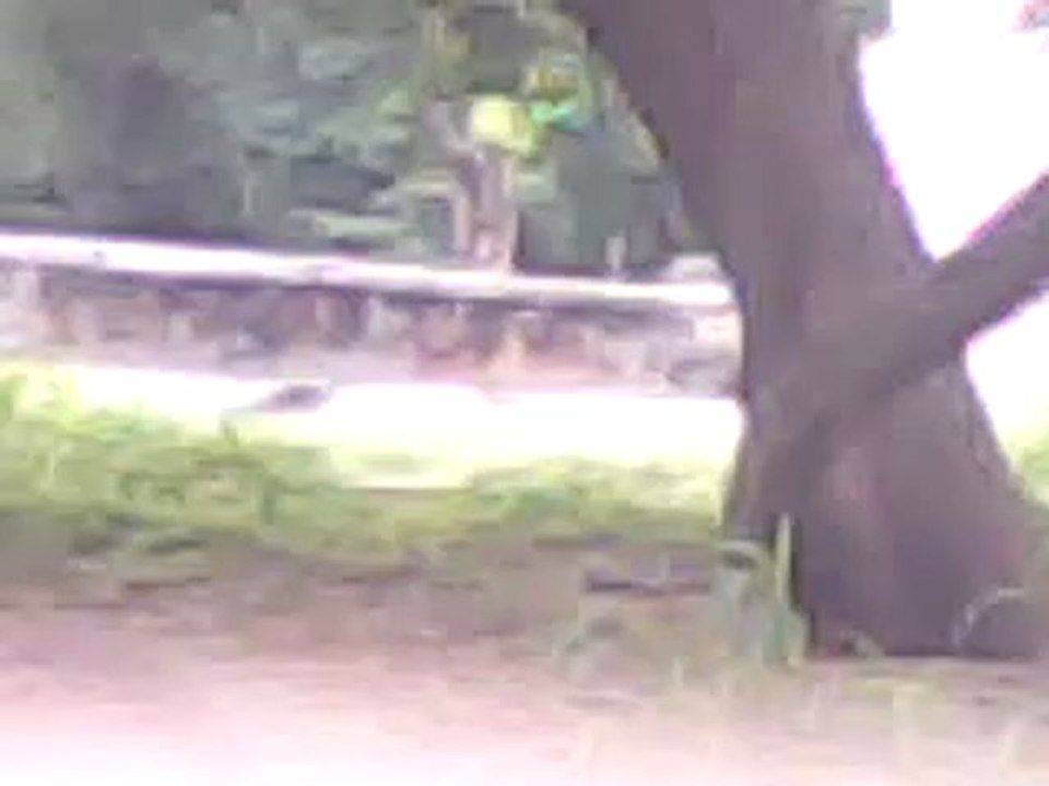 MOV0004A