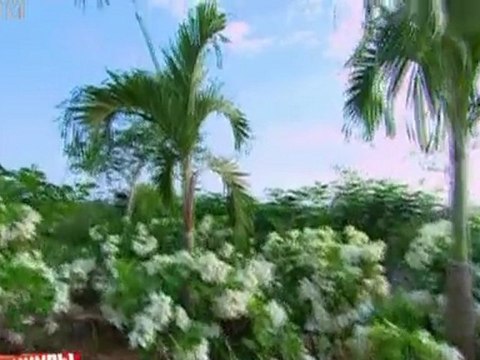 Kanikuly.v.meksike.(59.vypusk).24.11.2011.SATRip.[ riper.am]