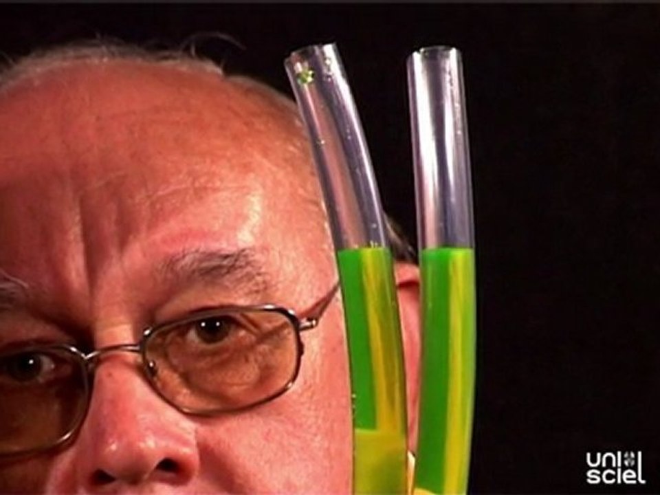 Le niveau à eau