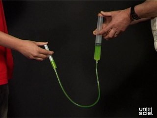 Bras de fer avec des seringues