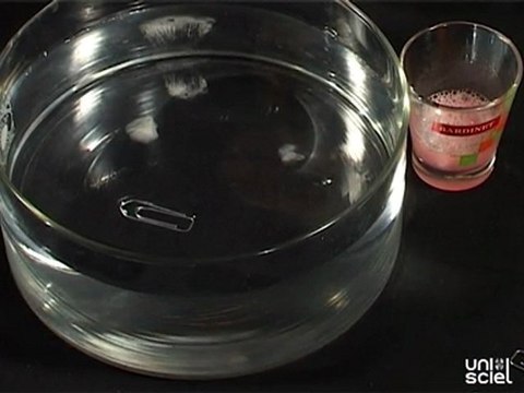 Objets flottants plus denses que l'eau