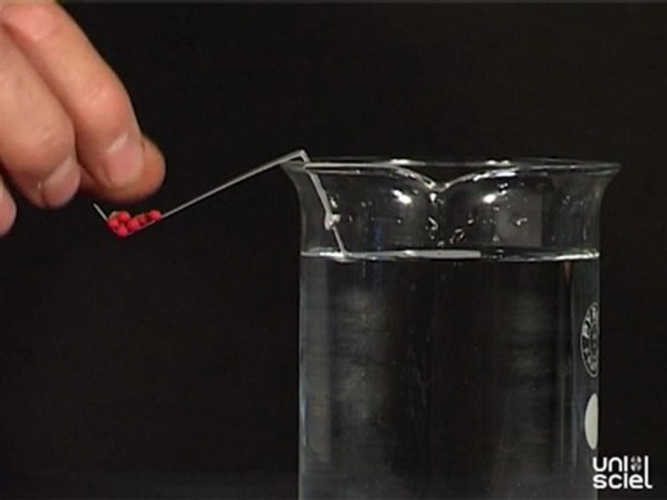Adhésion entre l'eau et le carton