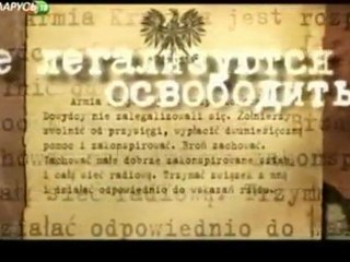 Обратный отсчёт. Армия Крайова 3. Последний бой